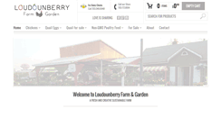 Desktop Screenshot of loudounberryfarm.com